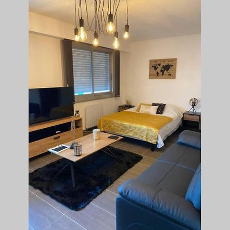 Le 12 Du Temple - Plein Coeur Centre Ville, Residence Privee, 5Mn Gare Sncf, Wifi Et Netflix ニオール エクステリア 写真